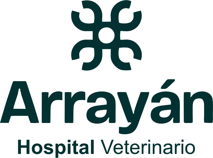 branding logo...